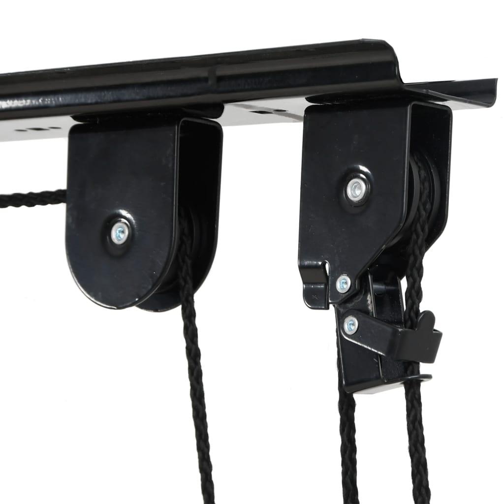 Fietstakels Met Plafondbevestiging 2 St 20 Kg