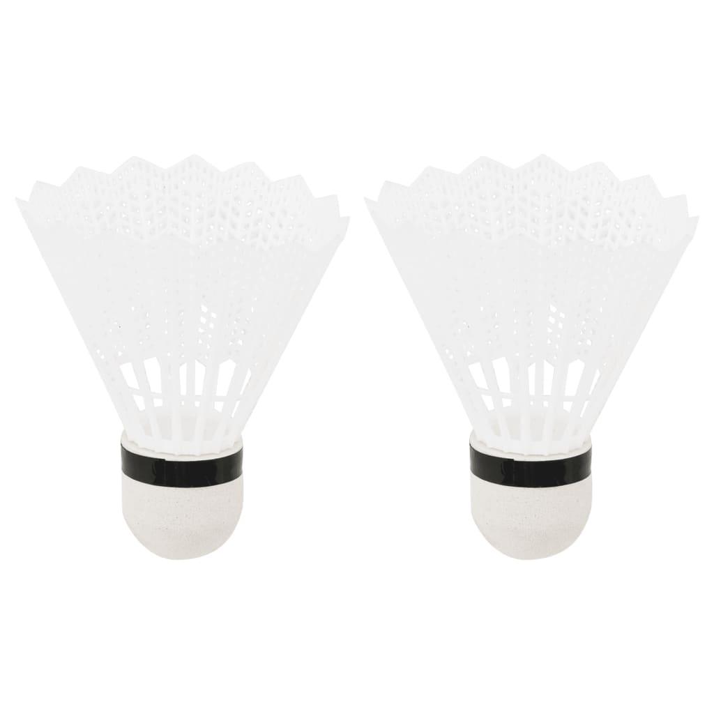 Badmintonset Met 2 Rackets, Net En Opbergkoffer 292X30X152 Cm