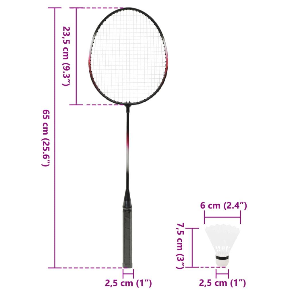 Badmintonset Met 2 Rackets, Net En Opbergkoffer 292X30X152 Cm